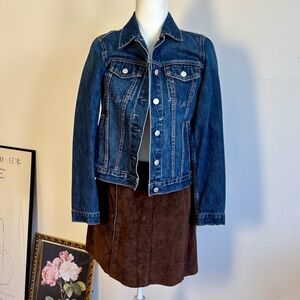 Banana Republic Brown Suede Mini Skirt